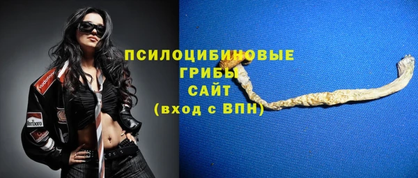 прущие крисы Абинск