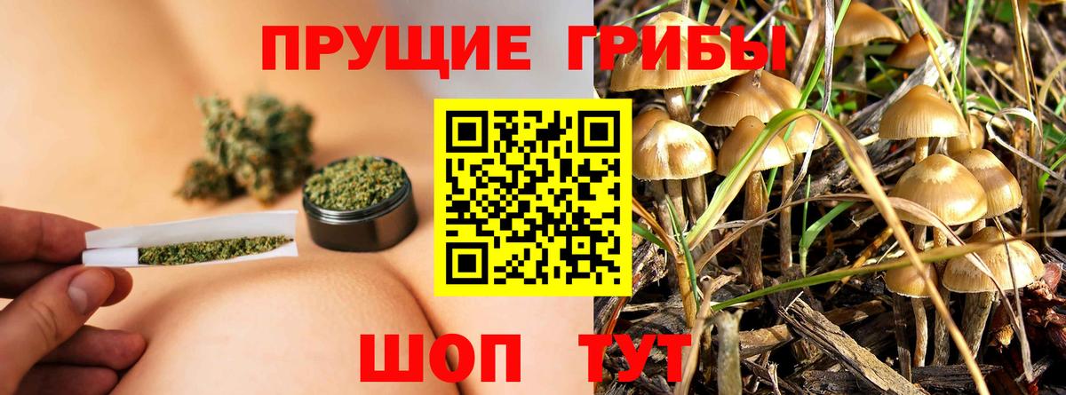 Галлюциногенные грибы MAGIC MUSHROOMS Ковров